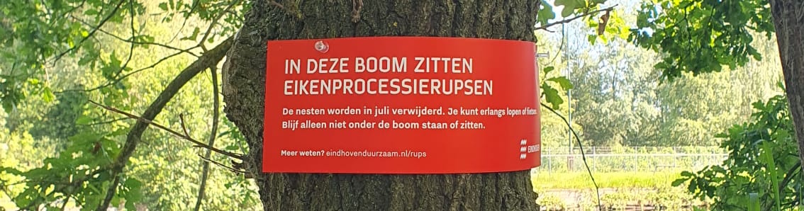 Waarschuwing Eikenprocessierupsen